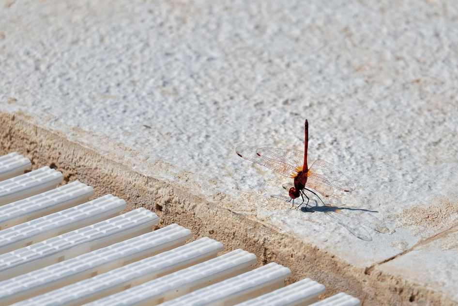 O que é um toxicômano